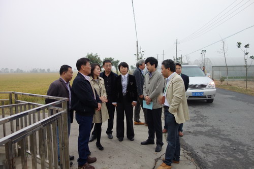 全国台企联常务副会长刘璟芳到如皋考察农业项目